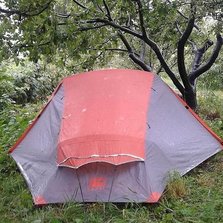 Issyk-Kul - Camping Grigoryevka Hotel Grigor'yevka Bagian luar foto