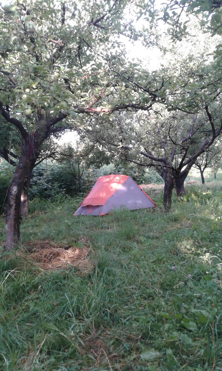 Issyk-Kul - Camping Grigoryevka Hotel Grigor'yevka Bagian luar foto